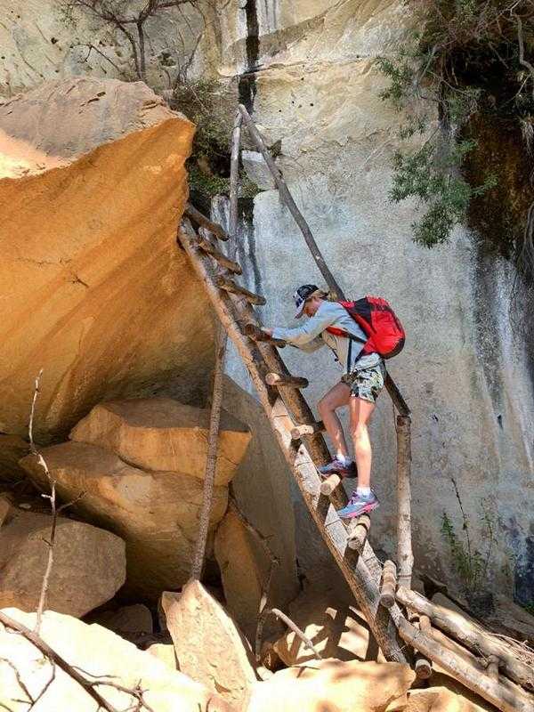Ladder