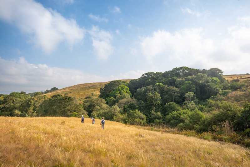 Grasslands near Grey Mare Falls