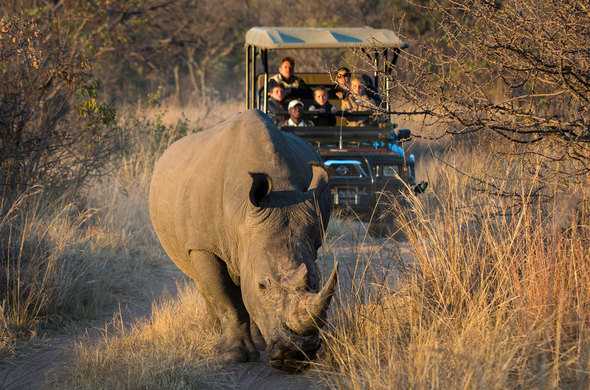 Rhino at Nambithi Reserve