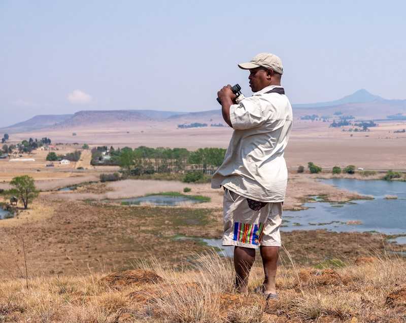 Birding Wetlands