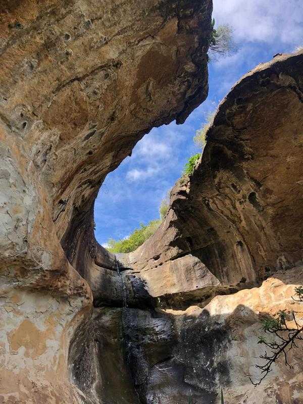 Batwing Cave - Day 1